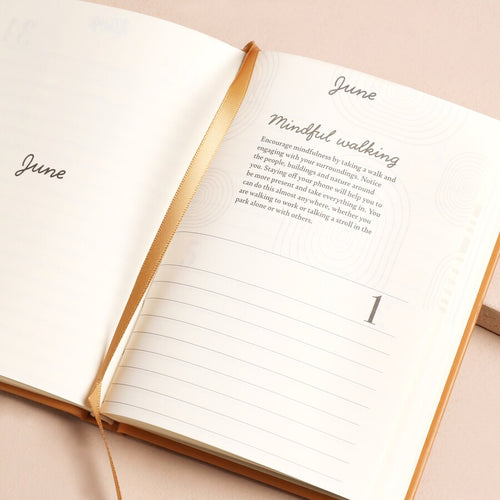 52 Weeks of Positivity Wellness Journal